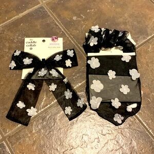 Matching pet accessories